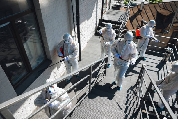 Best Asbestos and Lead Testing During Mold Inspection  in King Cove, AK
