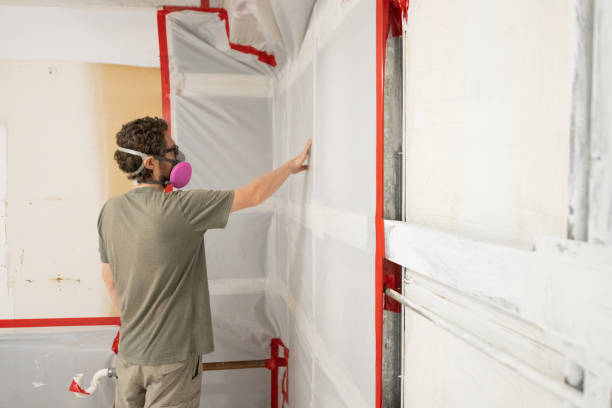 Best Environmental Consulting for Mold Prevention  in King Cove, AK
