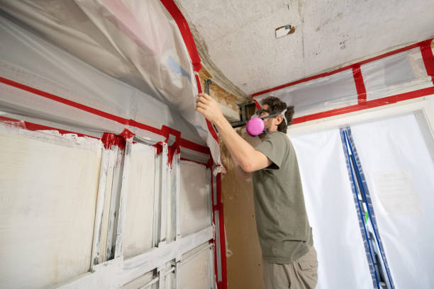 Best Indoor Air Quality Assessment  in King Cove, AK