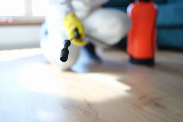 Best Forensic Mold Investigation  in King Cove, AK