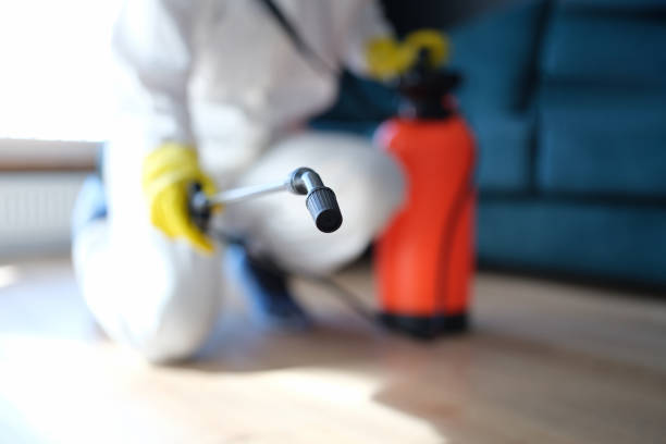 Best HVAC Mold Inspection and Cleaning  in King Cove, AK