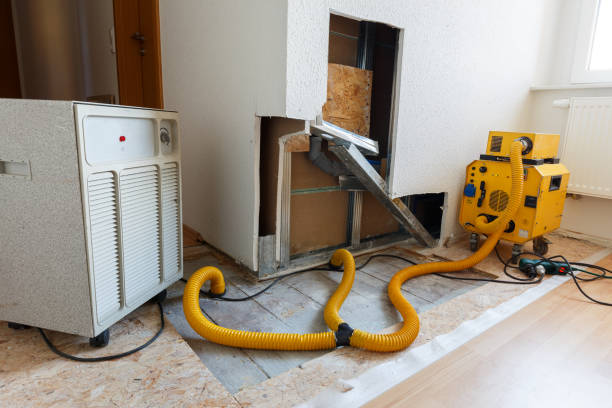 Mold Remediation for Vacation Homes in King Cove, AK