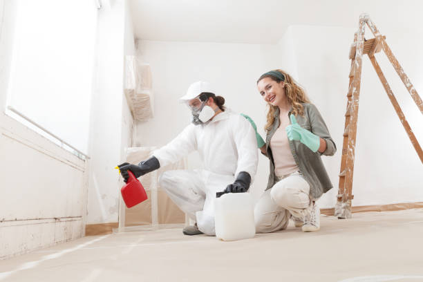 Best Basement Mold Removal  in King Cove, AK